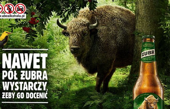 Żubr rusza z najwiekszą tegoroczną kampanią