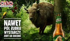 Żubr rusza z najwiekszą tegoroczną kampanią