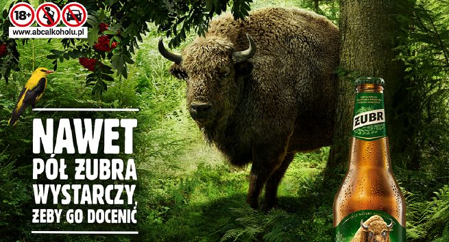 Żubr rusza z najwiekszą tegoroczną kampanią
