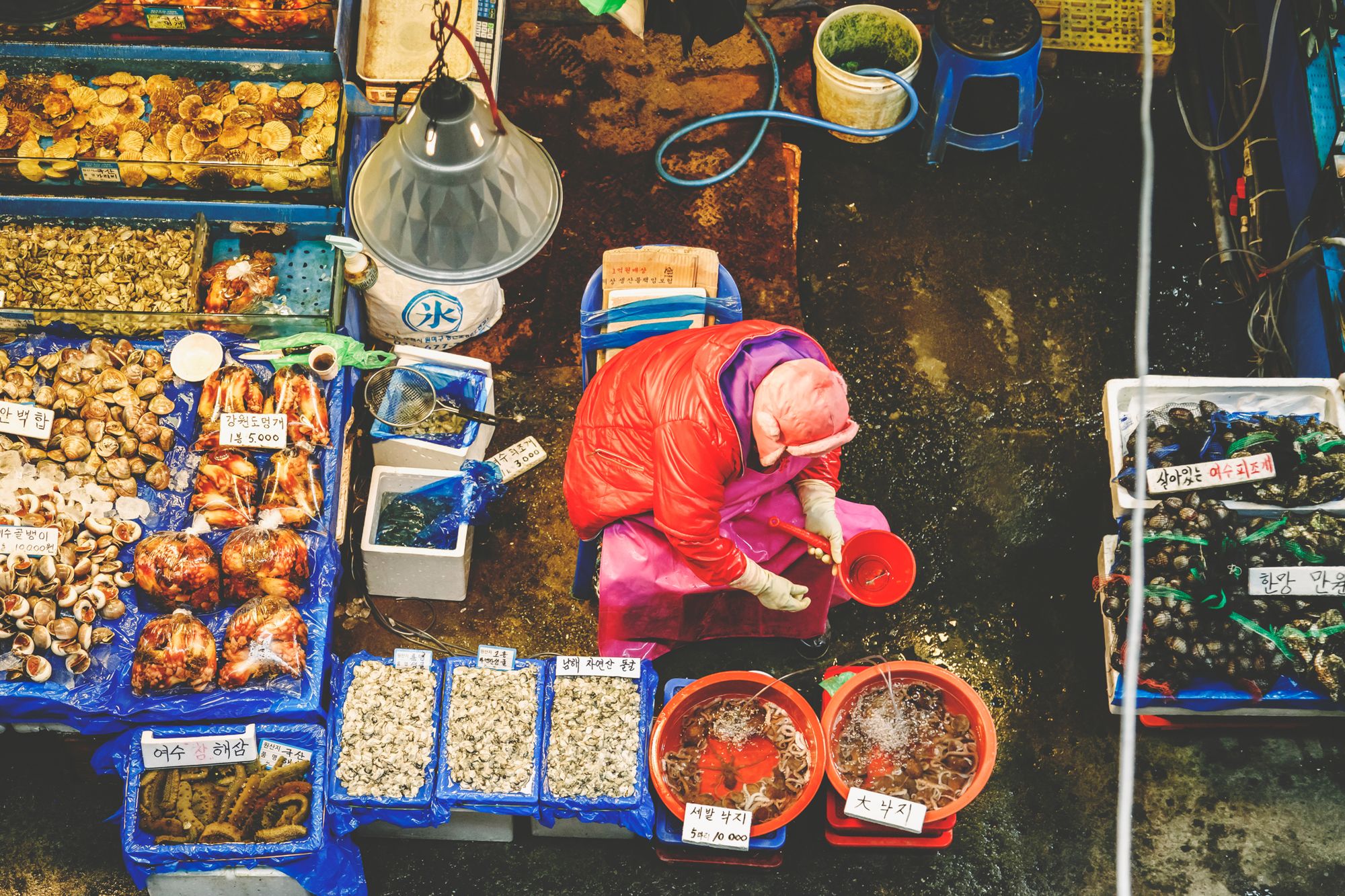 Co naprawdę kryje Korea? Barwna opowieść z podróży dwojga fotografów 10