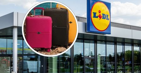 Walizki z Wittchen w Lidlu. Zaraz będą wyprzedane