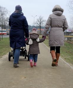 Nie ma kryterium dochodowego. Polacy ruszyli po pieniądze