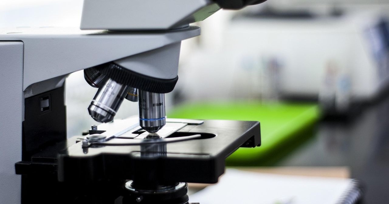 Warszawa: Niezwykłe odkrycie. Wyhodowali... dwugłowe robaki