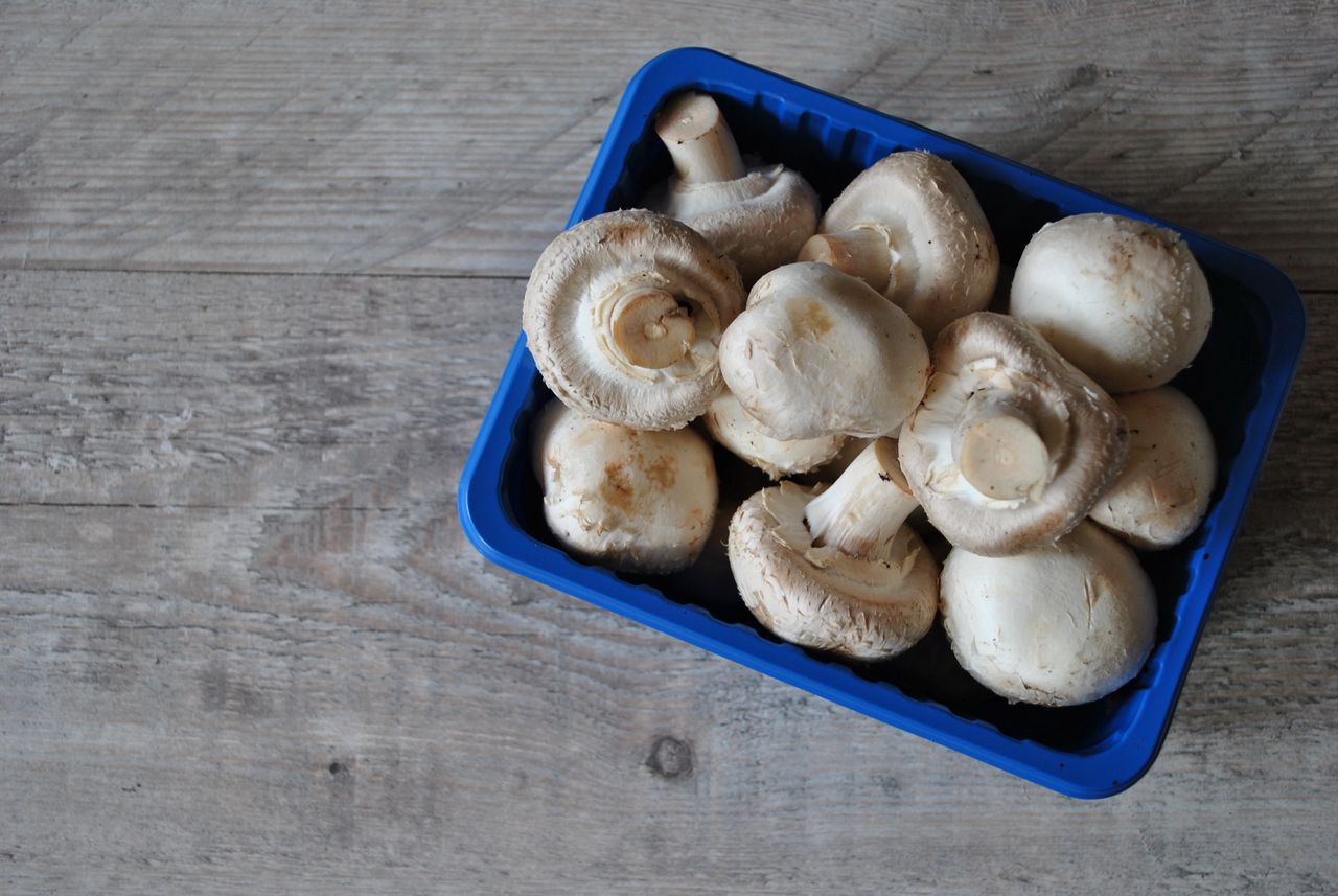 Stale mushrooms