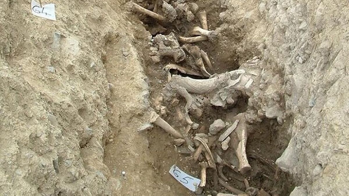 Archeolodzy dokonali nietypowego odkrycia