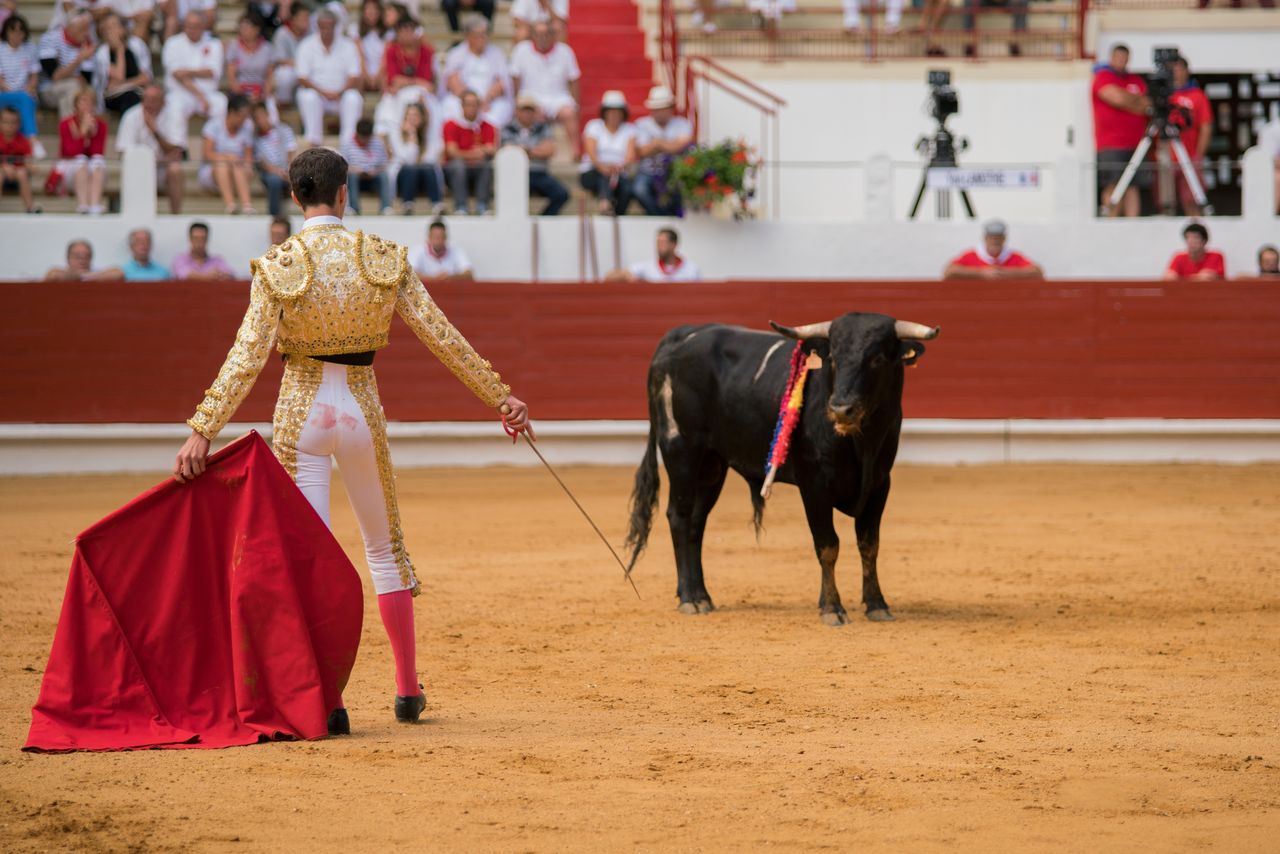 Bullfights are an inseparable element of Mexican culture.