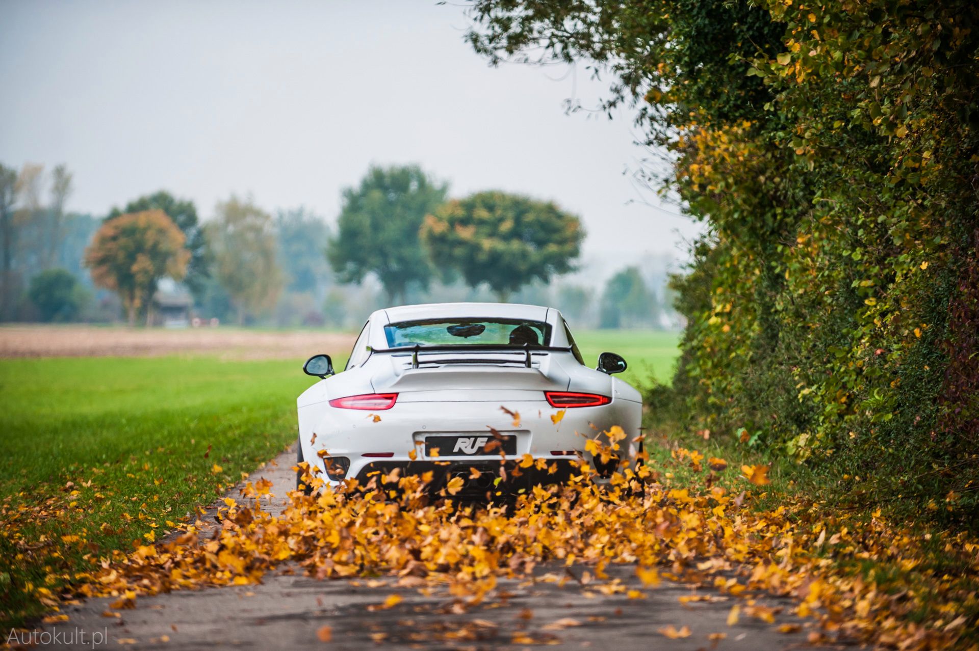 Ruf RGT (2016) (fot. Konrad Skura)