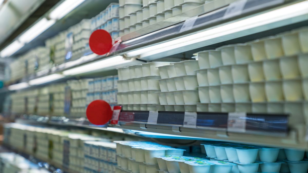 Karagen może zwiększać przepuszczalność jelita cienkiego