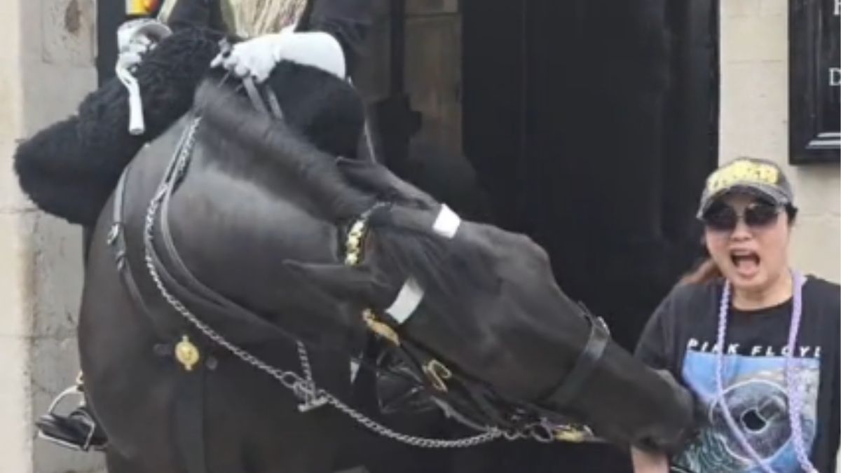 Do nietypowej sytuacji doszło nieopodal Muzeum Kawalerii w Londynie. Kobietę ugryzł koń