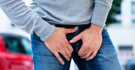 Anatomia intymna mężczyzny. Budowa męskiego układu płciowego