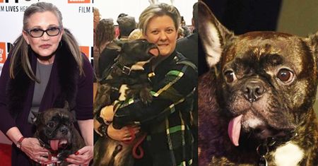 Pies Carrie Fisher ma już nową właścicielkę!