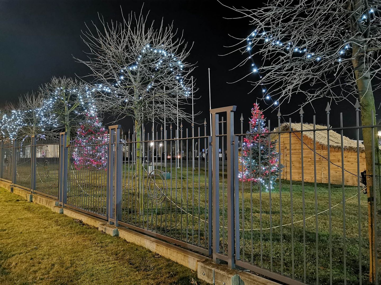 Tak wyglądają świąteczne iluminacje w okolicach toruńskiego Portu Drzewnego