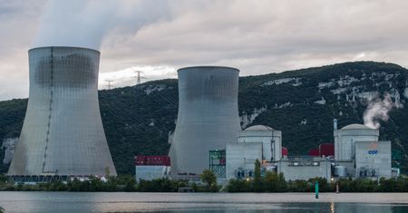 Koreańczycy już w Polsce. Wizytują lokalizację przyszłej elektrowni jądrowej