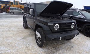 Chińskie auta zatrzymane na granicy. Nie przeszły kontroli