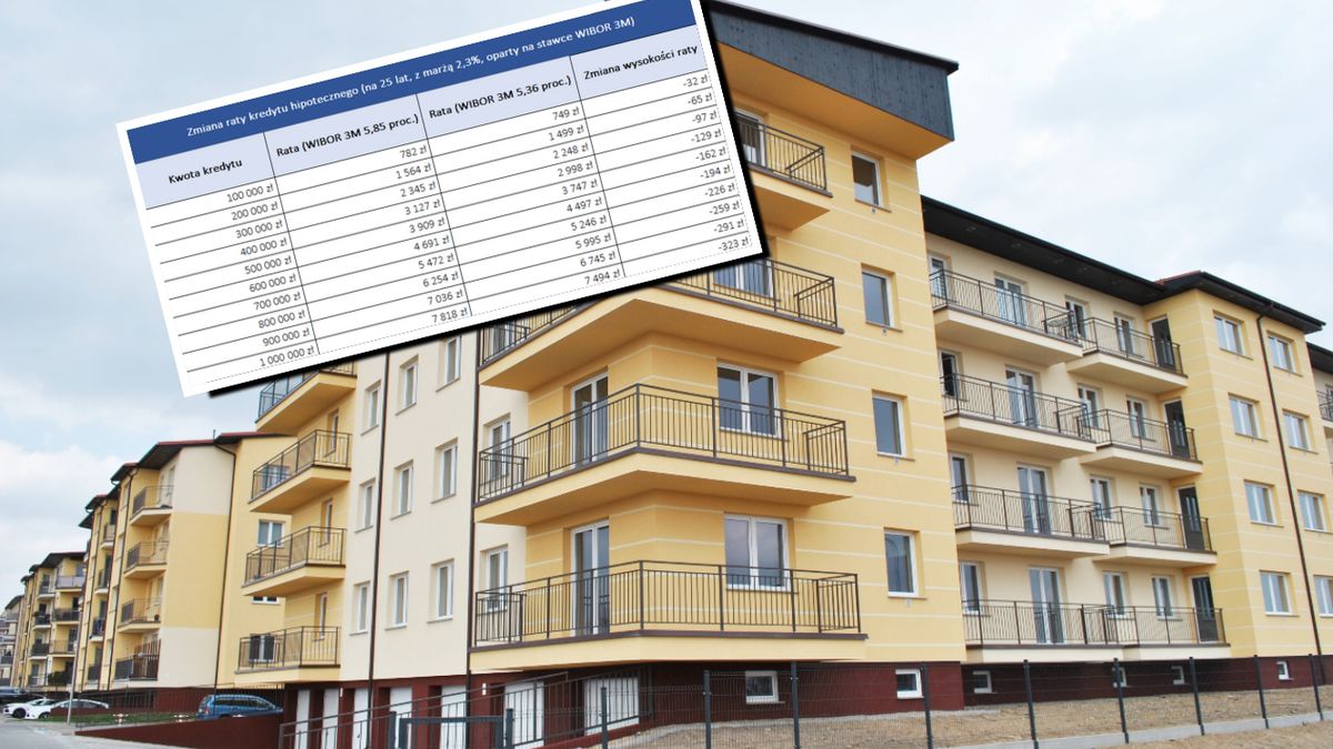 Raty kredytów po obniżce stóp. Oto wyliczenia