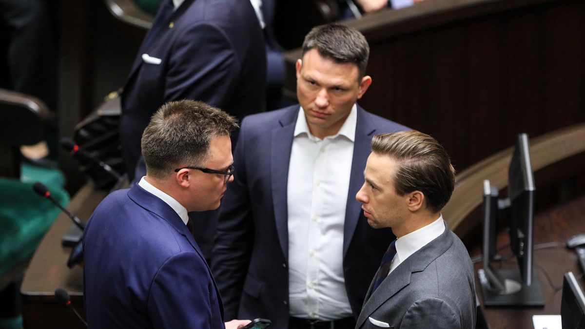 Szymon Hołownia, Krzysztof Bosak i Sławomir Mentzen