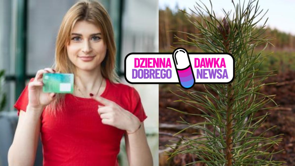 Studenci wybrali e-legitymacje i dzięki temu powstanie las