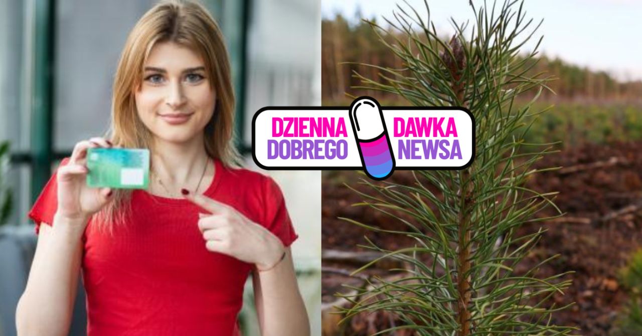 Zrezygnowali z plastikowych legitymacji. W zamian powstanie "studencki las"