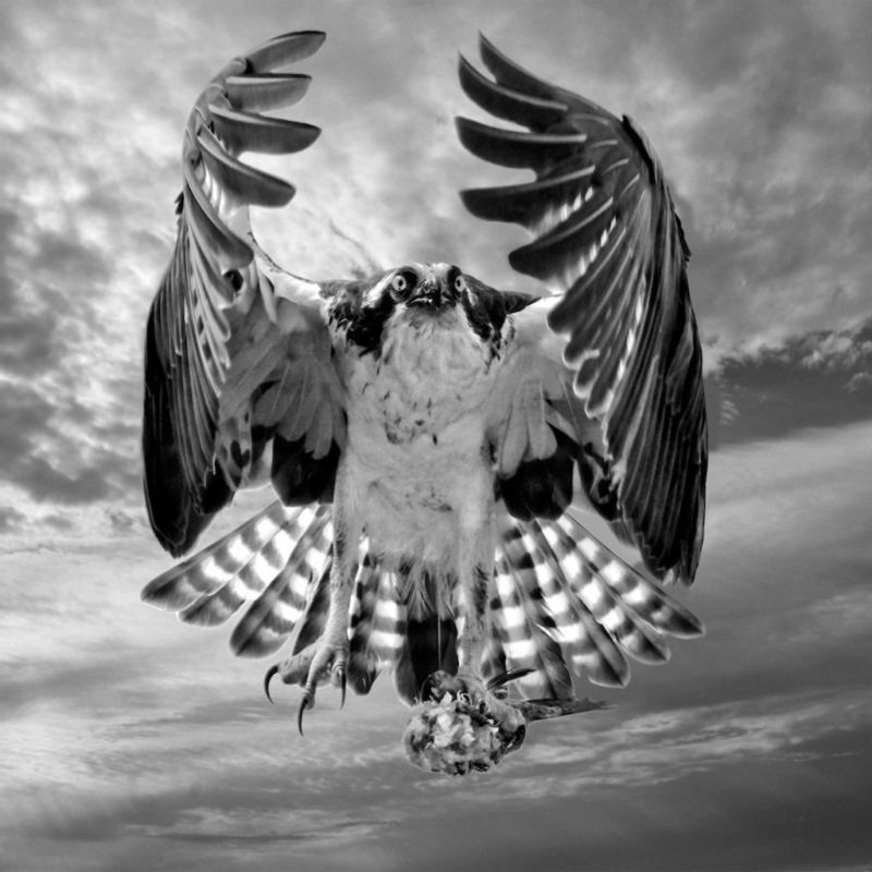 Znamy zwycięzców Black & White Spider Awards. Marek Lapis wielokrotnie wyróżniony 27