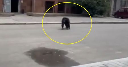 Zaskakujący widok w Charkowie. Nagle zaczęło padać i...