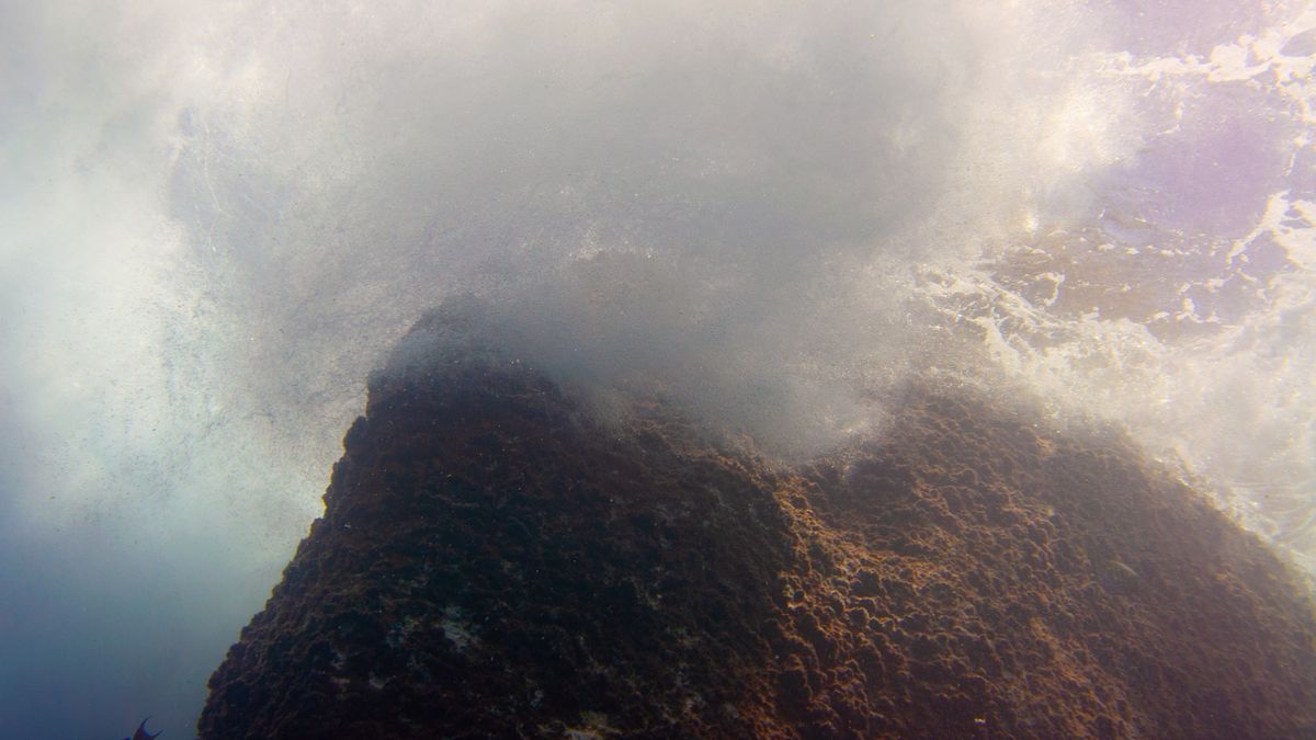 Podwodny wulkan interesuje naukowców 