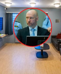 Breivik mieszka w niezwykłych warunkach. Ale i tak pozwał państwo