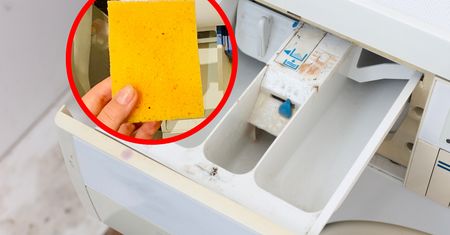 Włóż gąbkę do szuflady pralki. Efekt cię zaskoczy