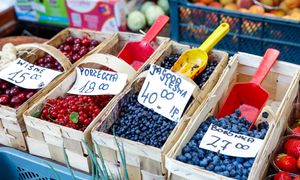 Pleśń i zgnilizna w owocach. IJHARS ujawnia wyniki kontroli