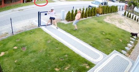 Dramat na posesji sąsiada. Wszystko nagrała kamera