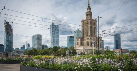 Warszawa. Miasto apeluje o ograniczenie koszenia i nieużywanie dmuchaw