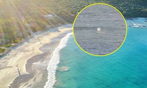 Surfował na desce. Chwilę później walczył o życie