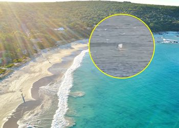 Surfował na desce. Chwilę później walczył o życie