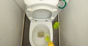 Wsyp ten składnik do toalety. Będzie lśnić jak nowa