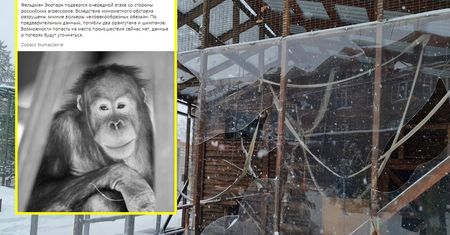 Rosjanie ostrzelali zoo. Zwierzęta nie miały szans