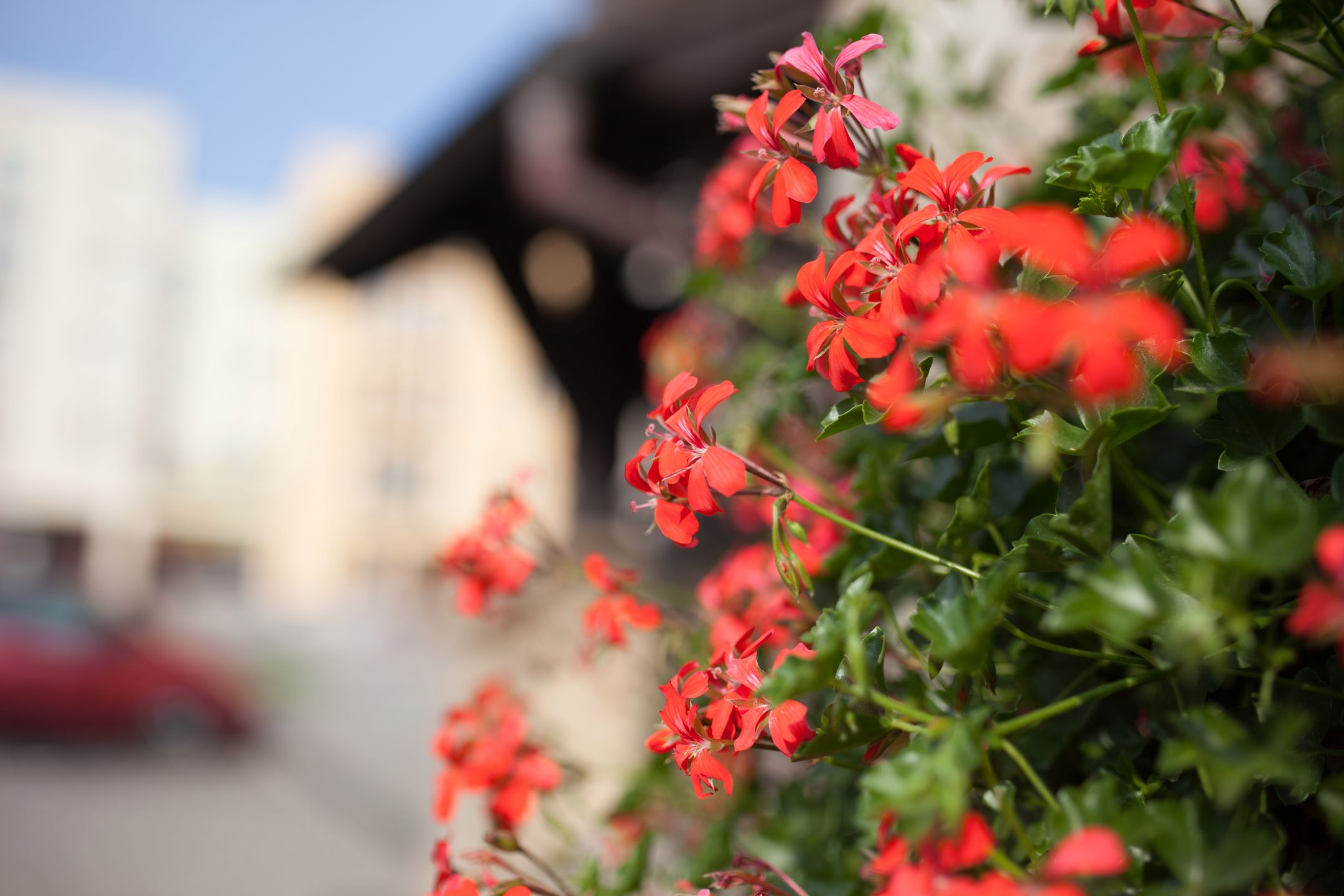 Sigma 35 mm f/1.4 ART DG HSM - od niej wszystko się zaczęło [recenzja] 9