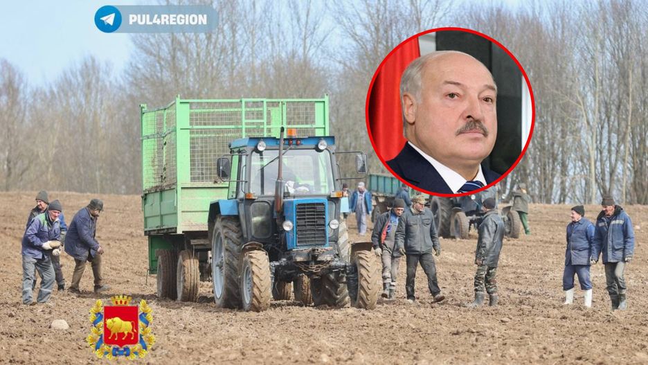 Łukaszenka zażądał szybkich działań