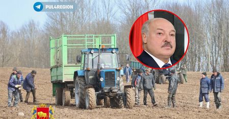 "Kamienne żniwa". Łukaszenka wysłał nawet żołnierzy