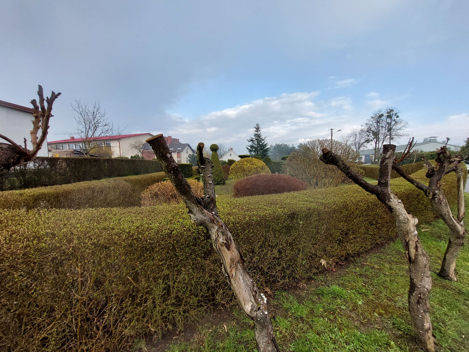 Smartfon szyty na miarę. Test Samsunga Galaxy A52 5G 25