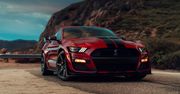 Oto nowy Ford Shelby Mustang GT500. Nie wiem, jakim cudem jest dopuszczony do ruchu
