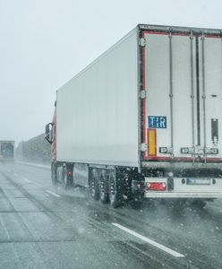 Służby zatrzymały żywność z Ukrainy. Oto co znaleziono w środku