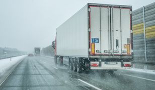 Służby zatrzymały żywność z Ukrainy. Oto co znaleziono w środku