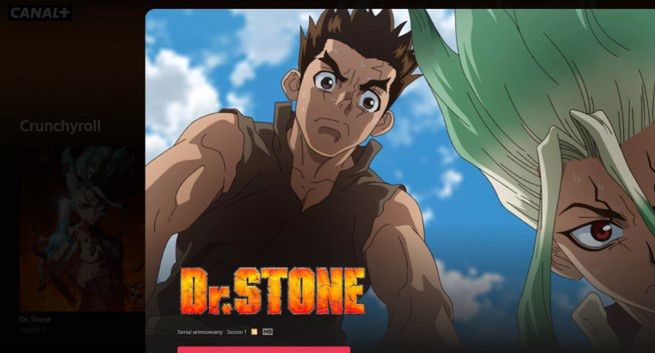 Canal+ Polska zaczyna współpracę z kolejnym serwisem streamingowym