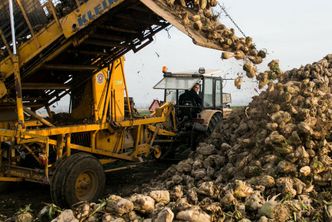 Czekając na paliwo. Rolnicy na skraju wytrzymałości