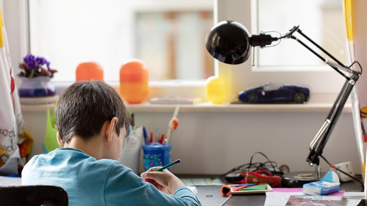 Nowa Lewica będzie proponować zniesienie prac domowych w szkołach 