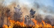 Turyści lekceważą zakazy w płonącej Czeskiej Szwajcarii. "Ludzka głupota jest nieskończona"