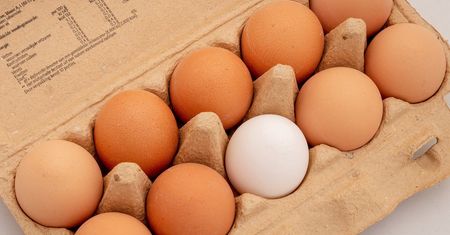 GIS ostrzega. Sprawdź numery na jajkach. Kolejne partie z Salmonellą