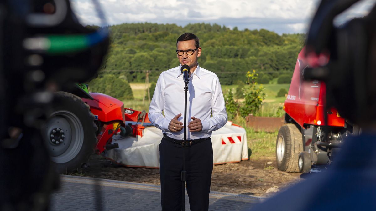 Miłoszewo, 12.08.2021. Premier Mateusz Morawiecki podczas wizyty w gospodarstwie rolnym w miejscowości Miłoszewo (pow. wejherowski), 12 bm. (mr) PAP/Piotr Wittman