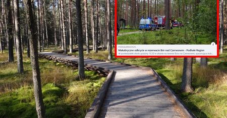 Koszmarne odkrycie na spacerze. Zwłoki w rezerwacie przyrody