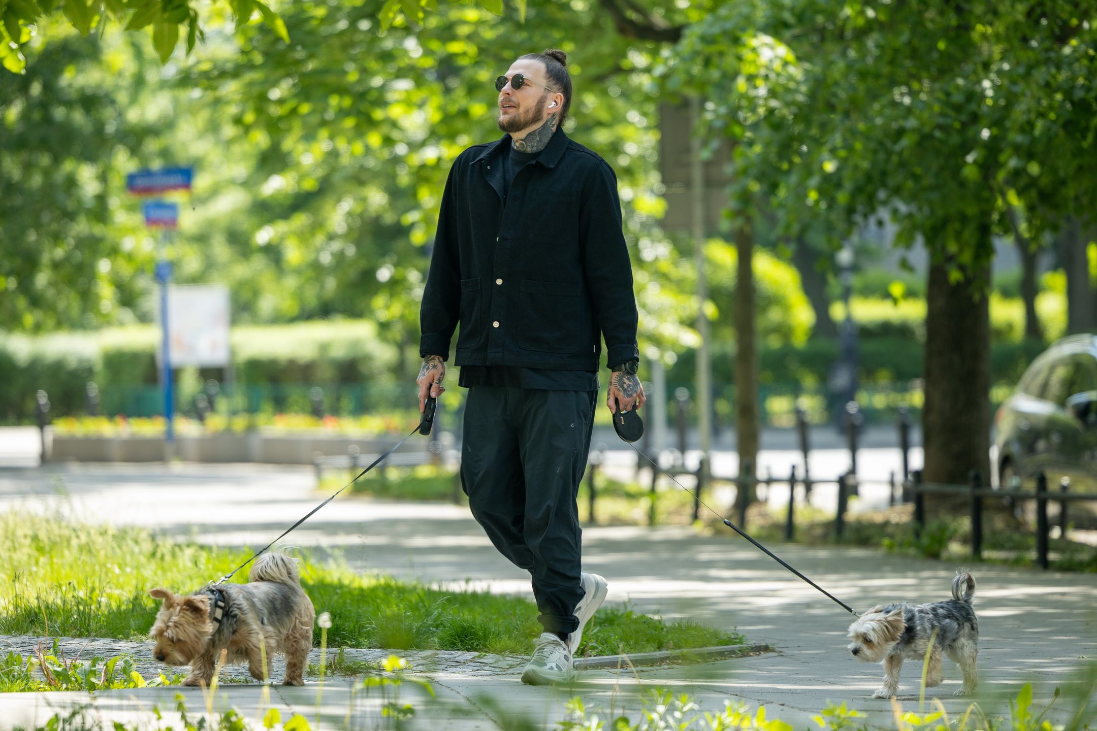 Żurnalista na spacerze z psami