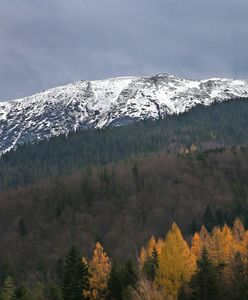 Beskidy. Przez ocieplenie wzrasta zagrożenie lawinowe na Babiej Górze